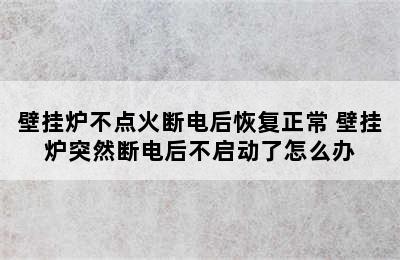 壁挂炉不点火断电后恢复正常 壁挂炉突然断电后不启动了怎么办